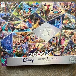 Beautiful puzzle for Disney and puzzle lovers